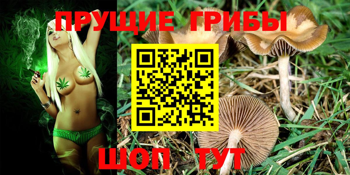 Псилоцибиновые грибы GOLDEN TEACHER  Вход с VPN  Каспийск 